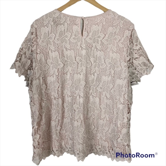 PHILOSOPHY Blush Pink Lace Crochet Overlay Blouse XXL - Picture 2 of 11